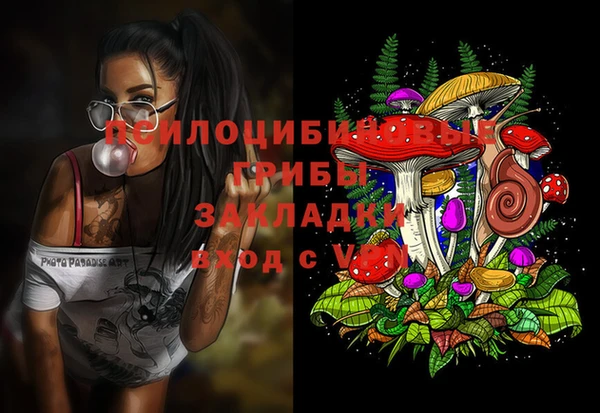 a pvp Горняк