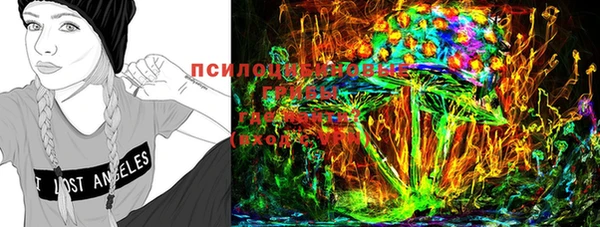 стафф Горно-Алтайск