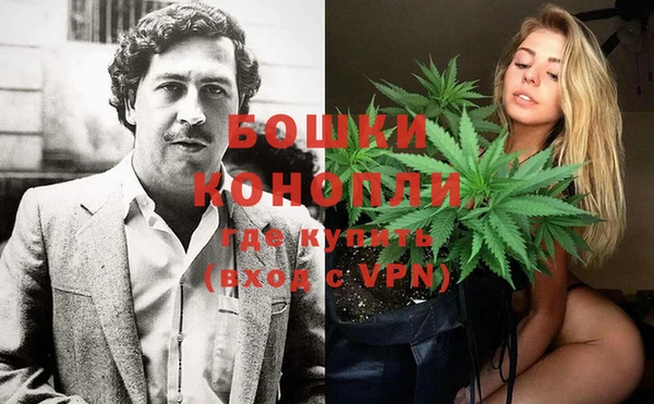 прущие грибы Великий Новгород