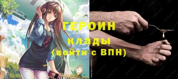 прущие грибы Великий Новгород