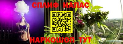 прущий лед Гай