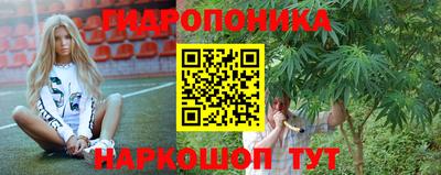 шишки Беслан