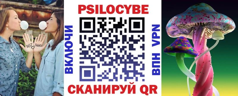 где можно купить   Ессентуки  Галлюциногенные грибы Psilocybine cubensis 