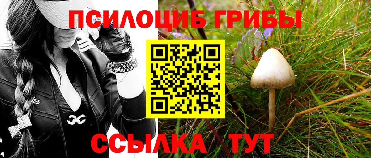 Галлюциногенные грибы ЛСД  Вход с VPN  Галлюциногенные грибы MAGIC MUSHROOMS  Ессентуки 